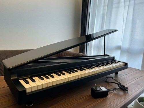 Korg micropiano tasten - tasten, mini
