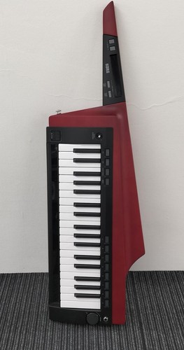 Korg 100s rd - 2,