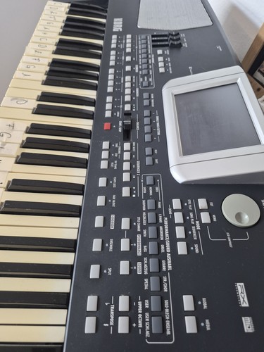 Korg pa500 musikant - pa500,